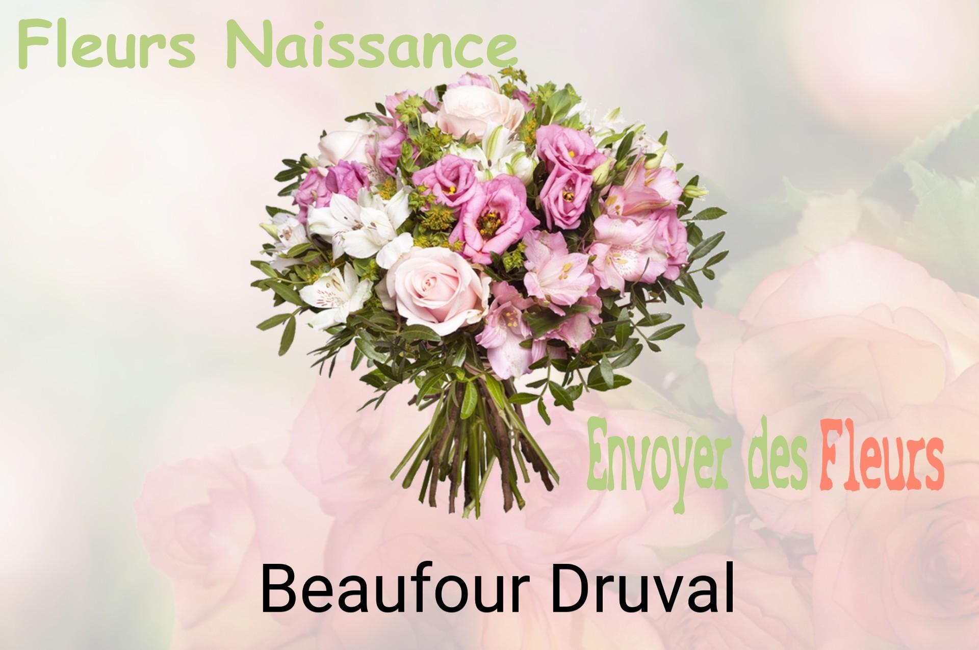 Bouquet de fleurs de naissance livré à Beaufour-Druval